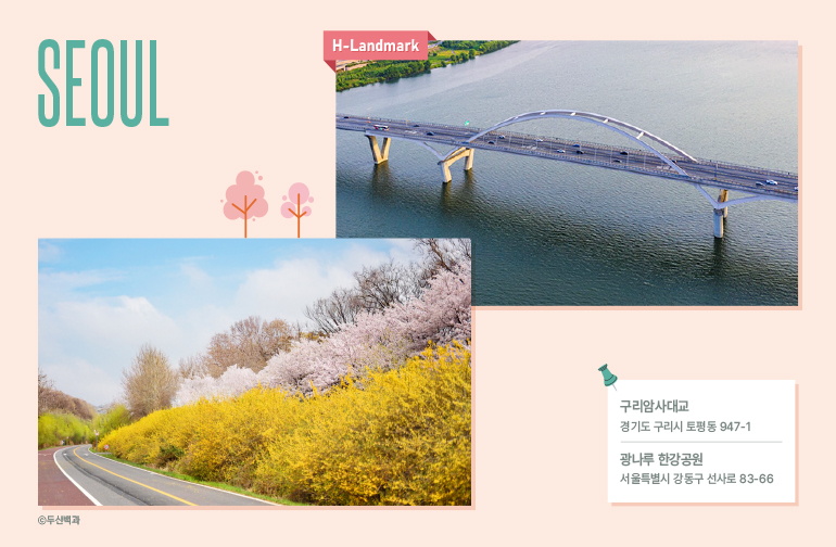서울 광나루 한강공원 & 구리암사대교  위치 광나루 한강공원: 서울특별시 강동구 선사로 83-66 구리암사대교: 경기도 구리시 토평동 947-1