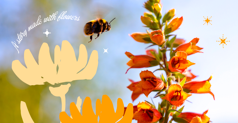 Garden Whispers A story made with flowers