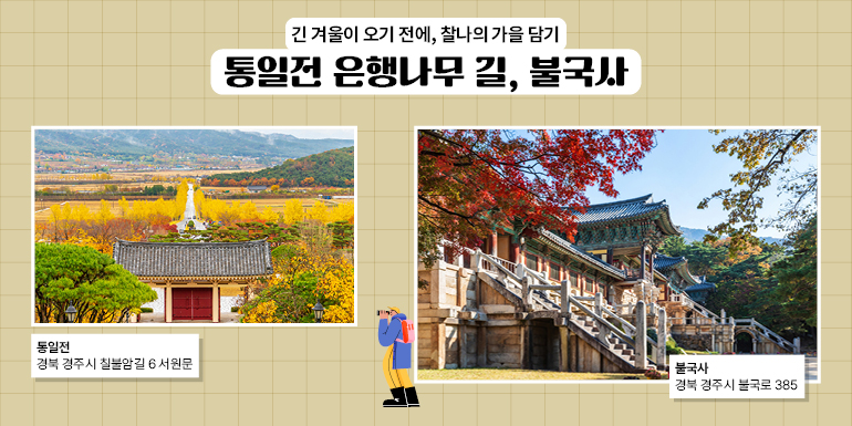 긴 겨울이 오기 전에, 찰나의 가을 담기 통일전 은행나무 길, 불국사 불국사 통일전 긴 겨울이 오기 전에, 찰나의 가을 담기 통일전 은행나무 길, 불국사 불국사 통일전 경북 경주시 칠불암길 6서원문 경북 경주시 불국로 385