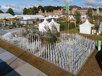 Hyundai E&C Awarded Silver-Gilt Medal at UK Flower Show